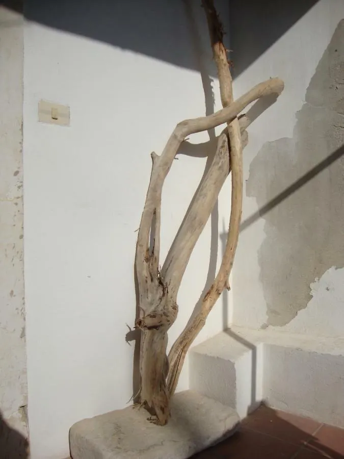 Il Nido Di Diana In Ortigia Apartman Szirakúza